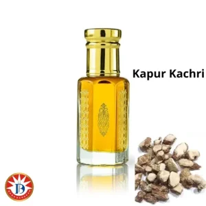 Kapoor Kachri